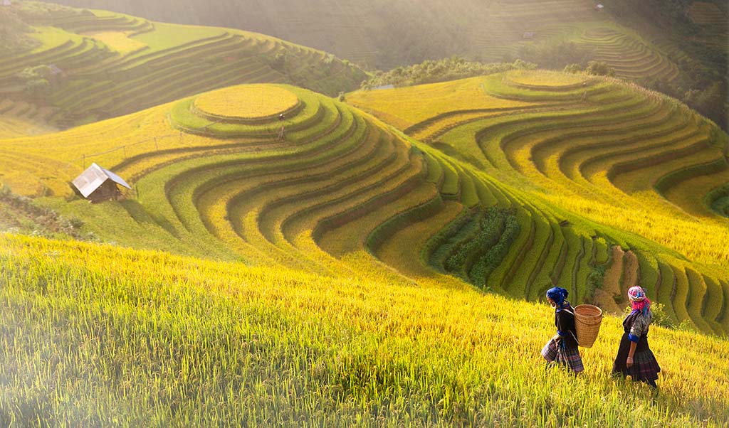 photo de femme marchant sur une collines au Laos